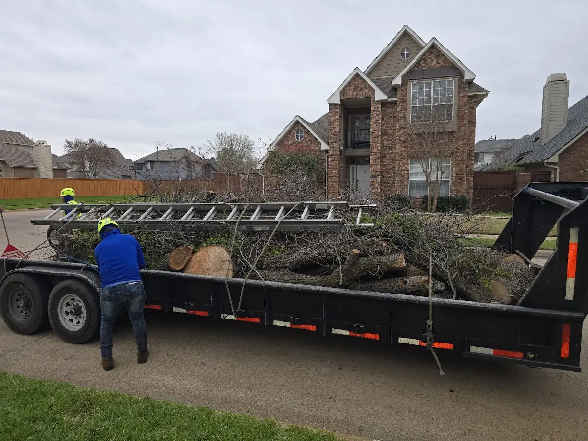 Expert Tree Fertilization with proper safety equipment in Union Grove